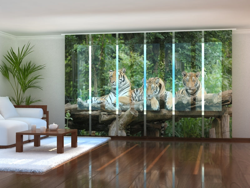 Sliding Panel Curtain Young Tigers