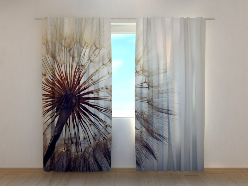 Photocurtain Amazing Dandelion