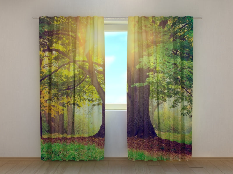 Photo Curtain Big Green Tree