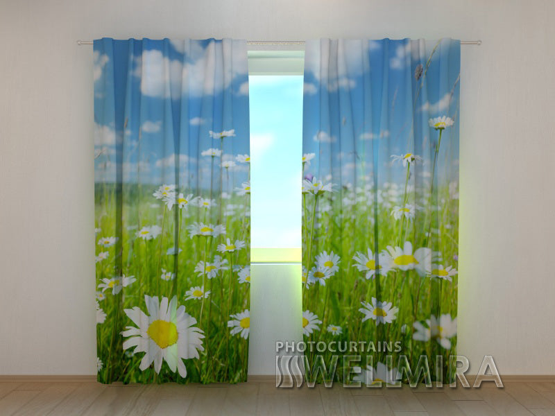 3D Curtain Camomile Field - Wellmira