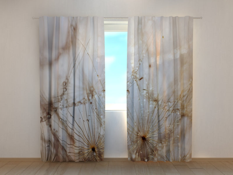Photo Curtain Delicate Dandelion Flower