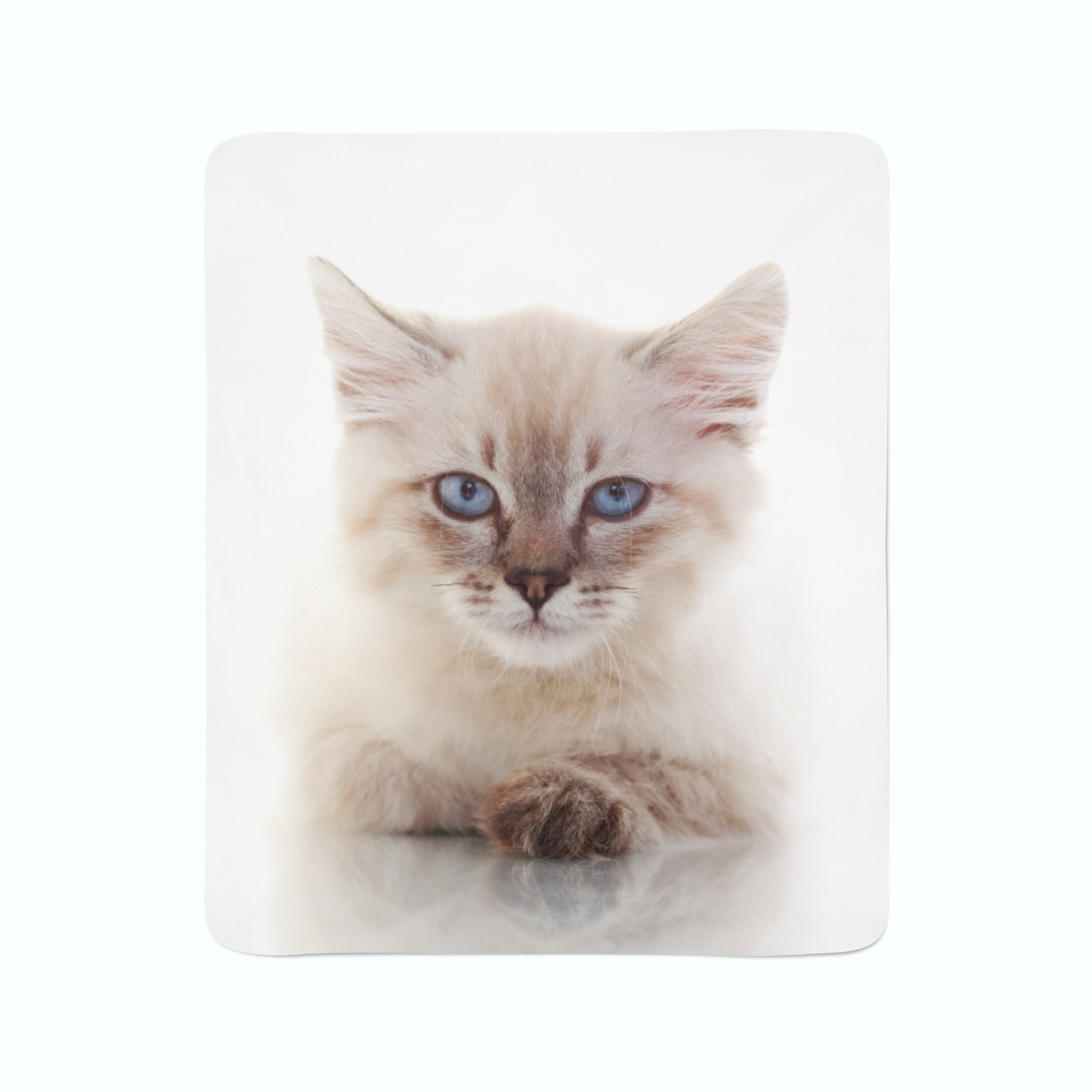 Fleece Blanket Blue-eyed Cat