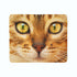 Fleece Blanket Red Cat