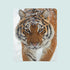 Fleece Blanket Sincere Look