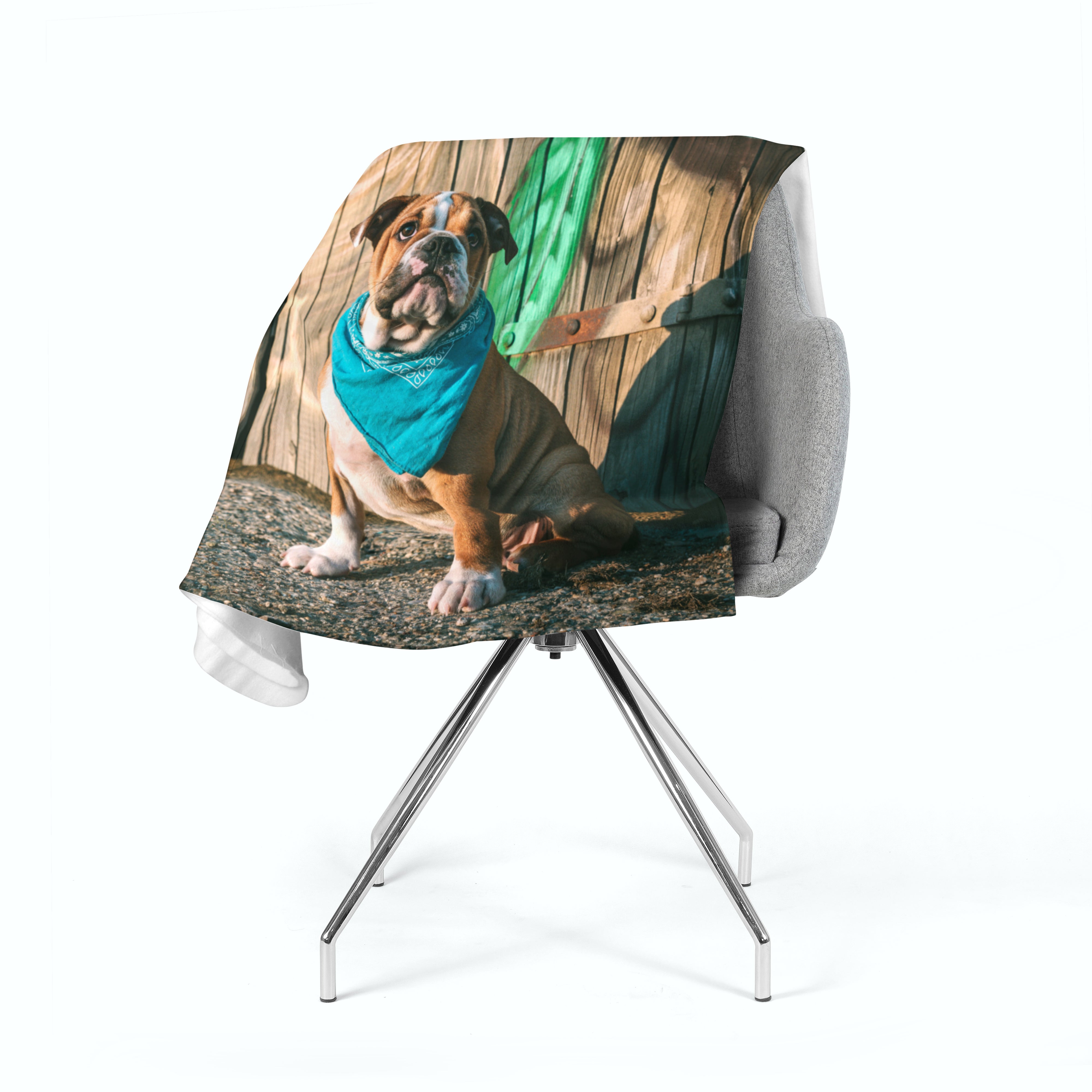Fleece Blanket Stylish English Bulldog Puppy