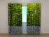 Photocurtain Forest 1 - Wellmira