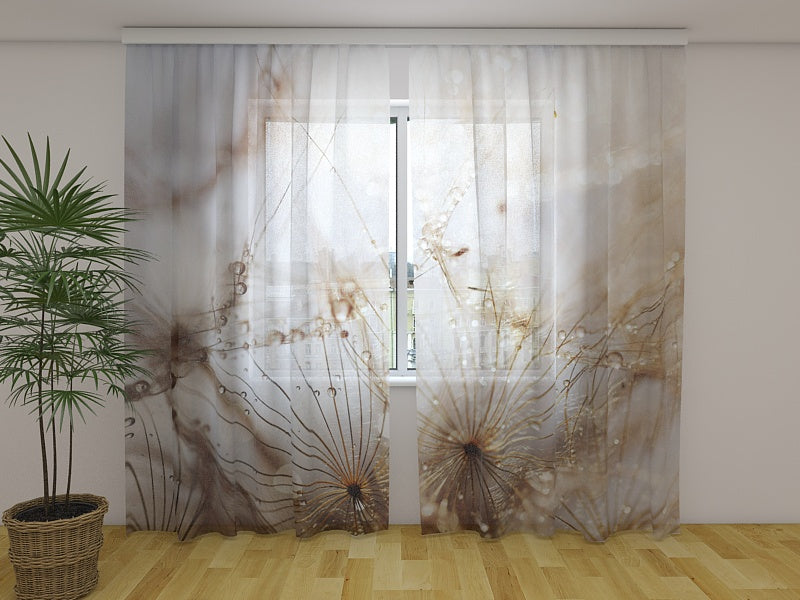 Photo Curtain Delicate Dandelion Flower