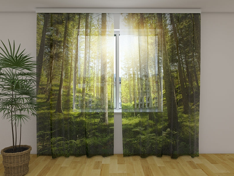 Photo Curtain Sunny Forest