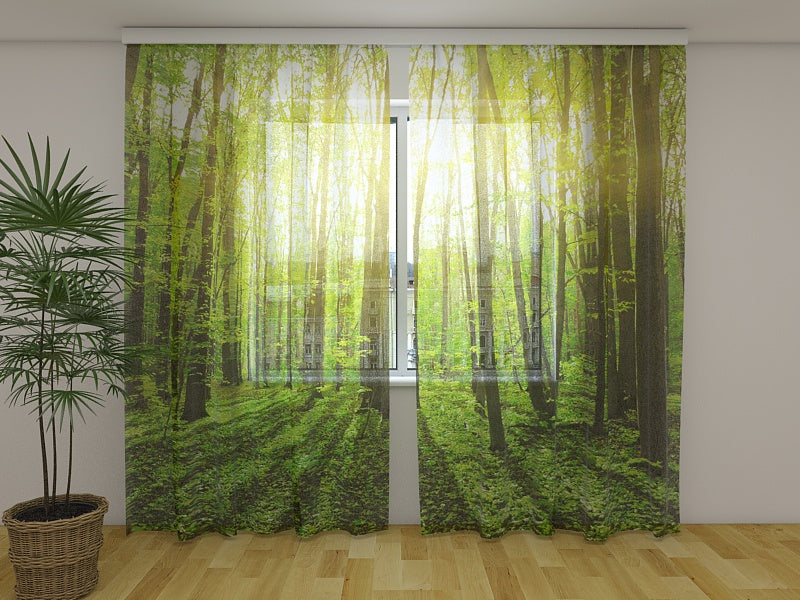 Photo Curtain Sun Rays 2