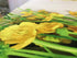 Tablecloth Yellow flowers on the white 2 - Wellmira