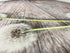 Tablecloth Air Dandelions - Wellmira