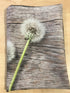 Tablecloth Air Dandelions - Wellmira
