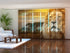 Set of 6 Sliding Panel Curtains Lion in Savanna