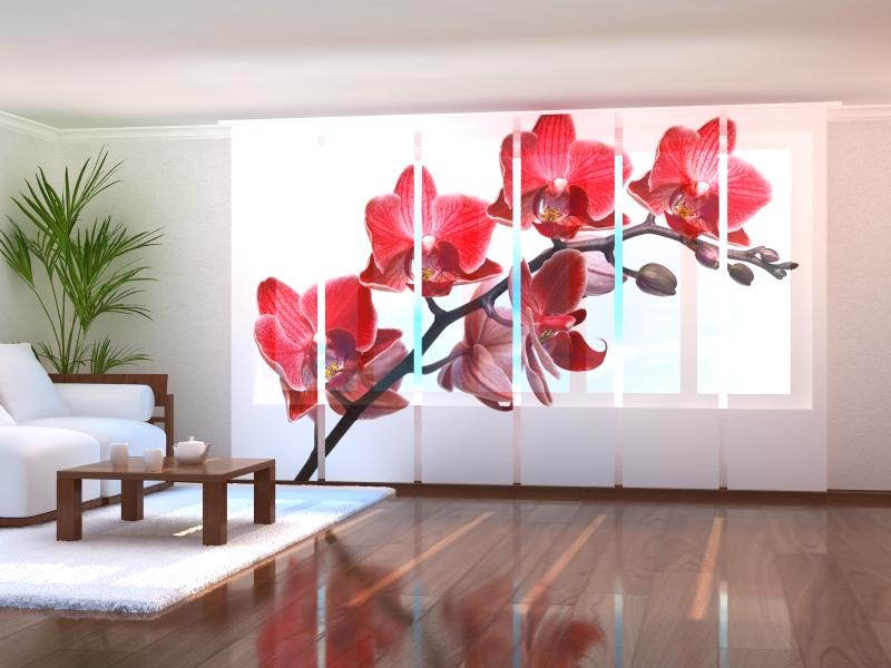 Set of 6 Panel Curtains Queen of Orchids - Wellmira