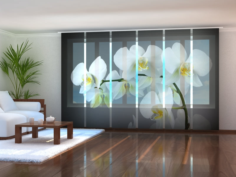 Set of 6 Panel Curtains Song Orchids