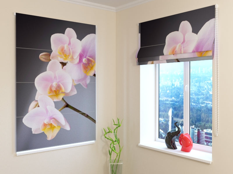Roman Blind Elegant Twig of Orchid