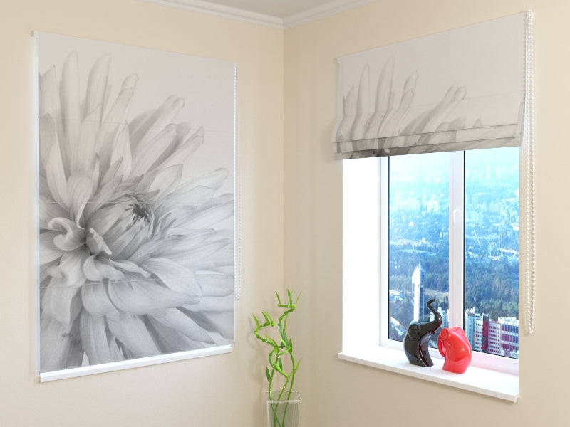 Roman Blind Gray Dahlia