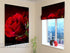 Roman Blind Red Heart - Wellmira