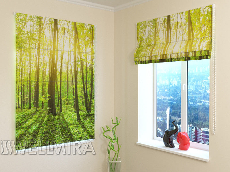 Roman Blind Sun rays 2 - Wellmira