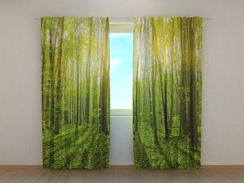 Photo Curtain Sun Rays 2