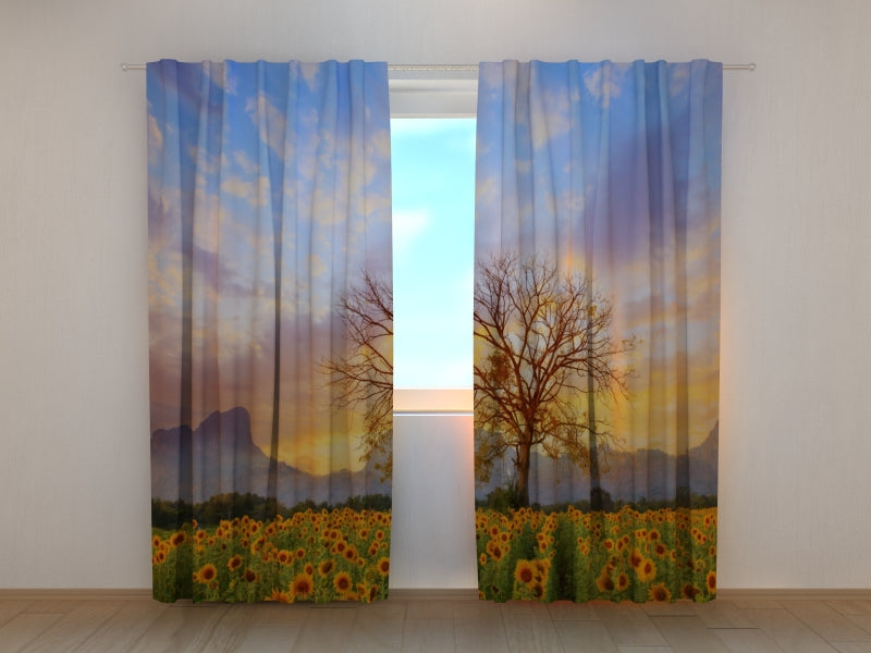 Photo Curtain Sunset over Sunflower Field
