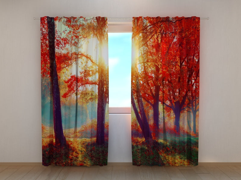Photo Curtain Sunshine in the Red Autumn Forest