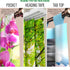 Set of 4 Panel Curtains Trees Trunks in Winter Fog