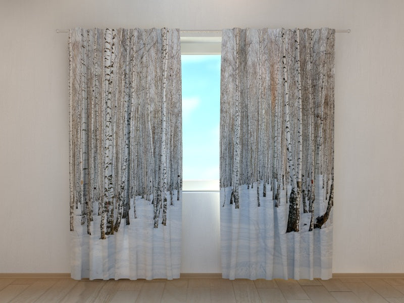 Photocurtain Winter Birch Forest - Wellmira