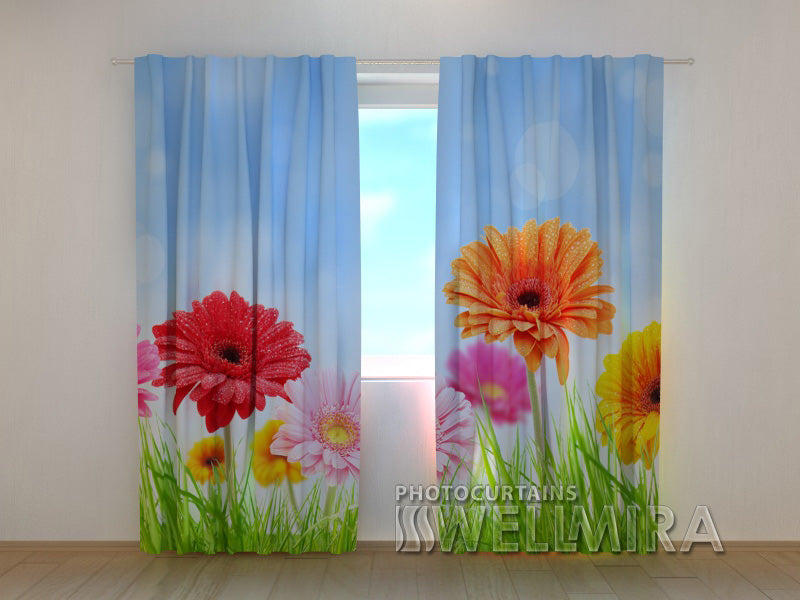 3D Curtain Bright Gerberas - Wellmira
